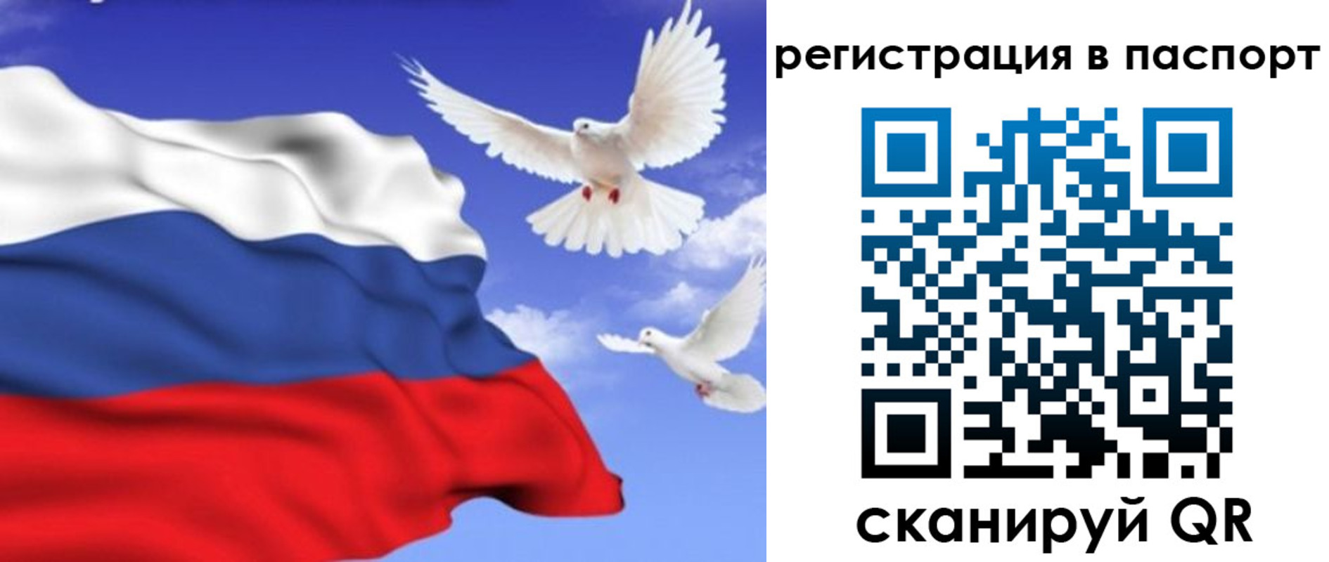 купить прописку в Старой Купавне
